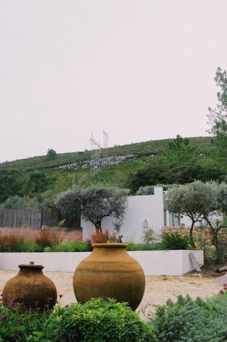 Casa Oliva - Casa Do Lago Porto de Mós 외부 사진