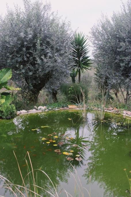 Casa Oliva - Casa Do Lago Porto de Mós 외부 사진